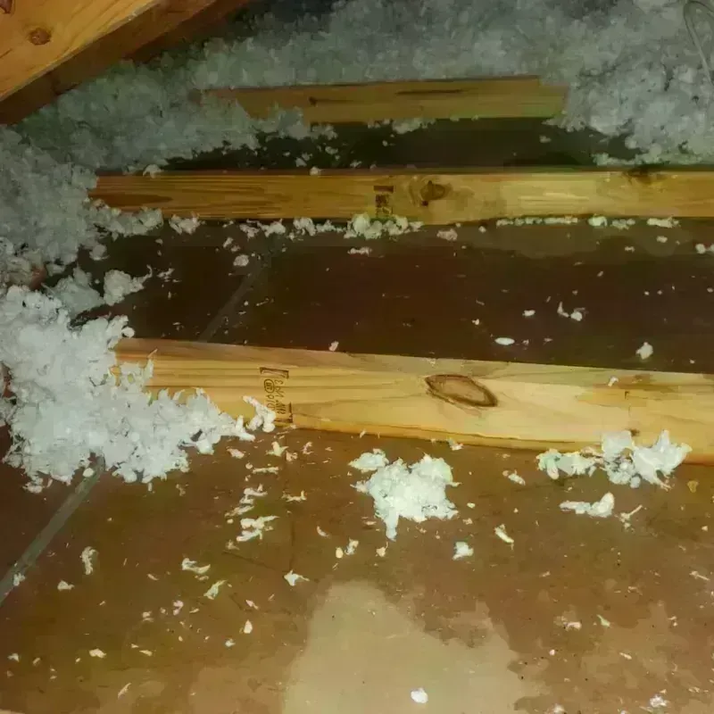 Attic Water Damage in Melody Hill, IN